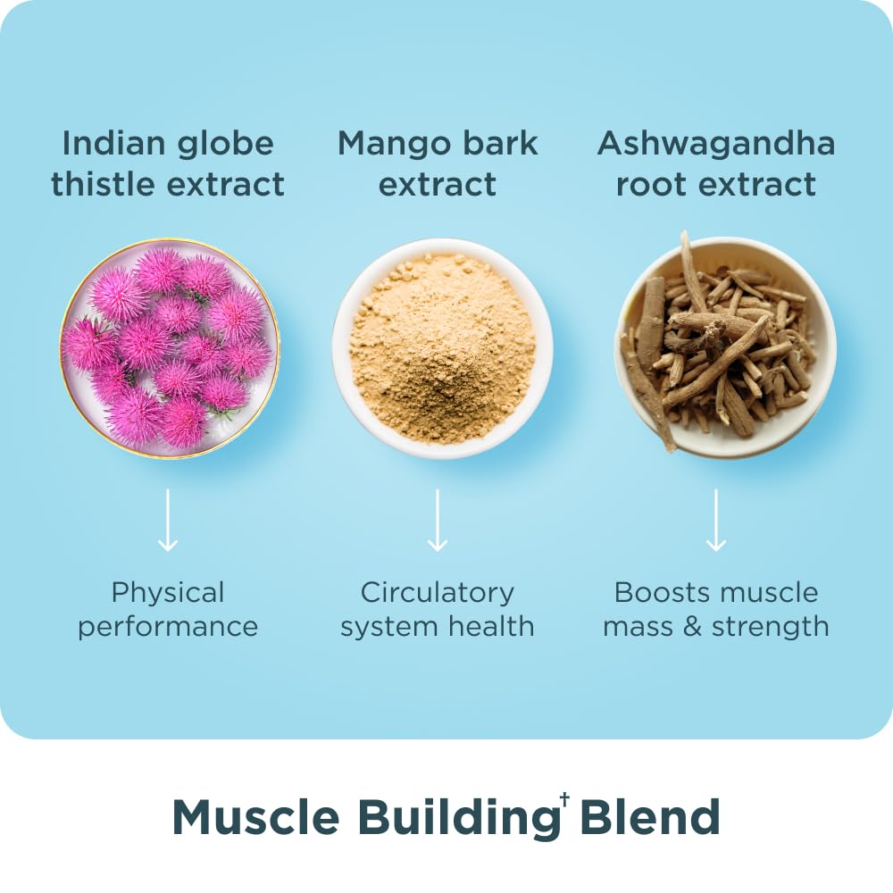 Ancient Nutrition Advanced Multi Collagen Protein Capsules Muscle, 90 Count - Image 6