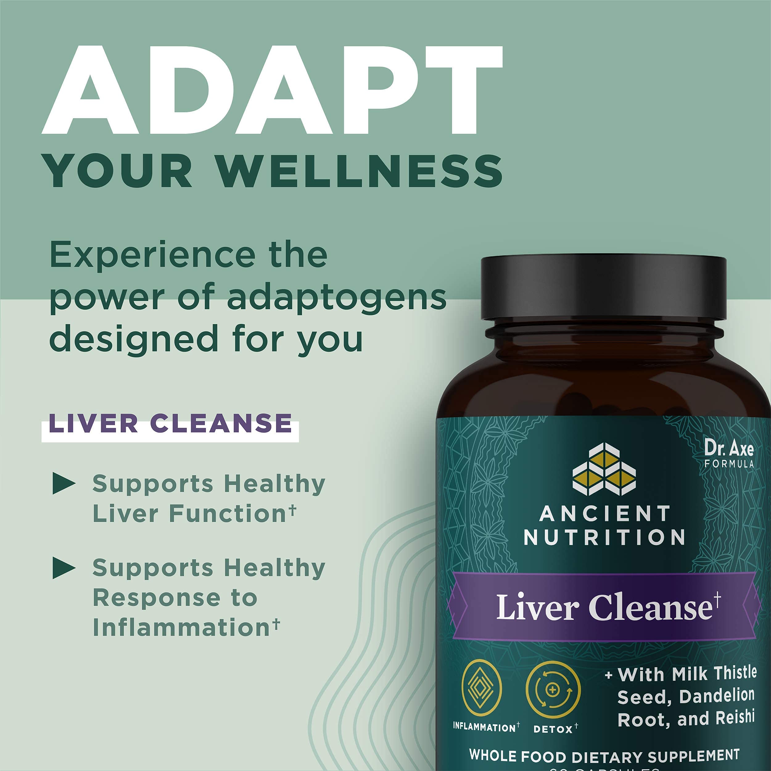 Ancient Nutrition Liver Detox Supplement, Ancient Herbals Liver Cleanse with Milk Thistle, Dandelion Root & Reishi for Optimal Liver Support, 1300mg, Gluten Free, 60 Count - Image 3