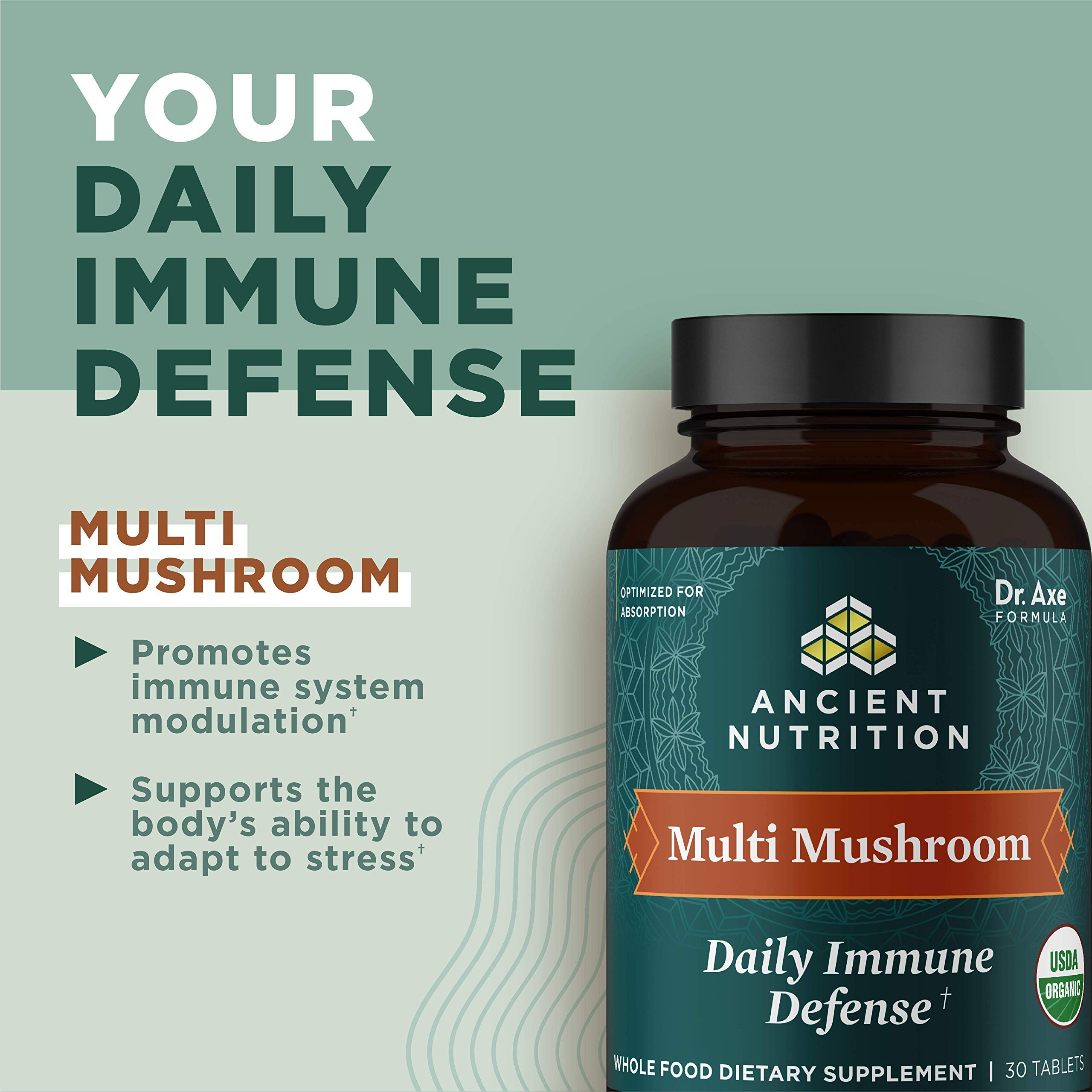 Ancient Nutrition Mushroom Supplement, Organic Multi Mushroom Immune Support Tablet, Supports Stress Response, Gluten Free, Paleo and Keto Friendly, 30 Count - Image 3