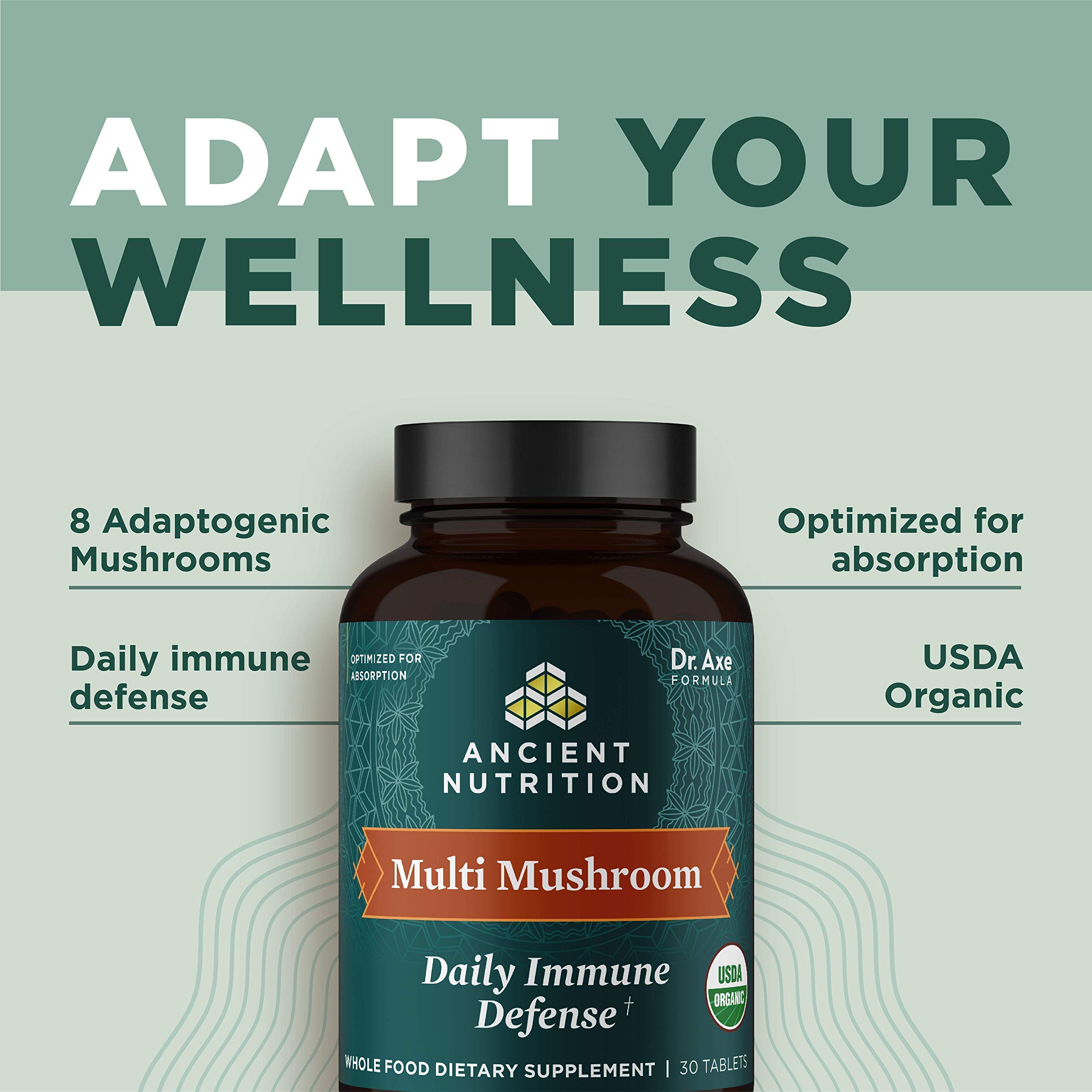 Ancient Nutrition Mushroom Supplement, Organic Multi Mushroom Immune Support Tablet, Supports Stress Response, Gluten Free, Paleo and Keto Friendly, 60 Count - Image 5