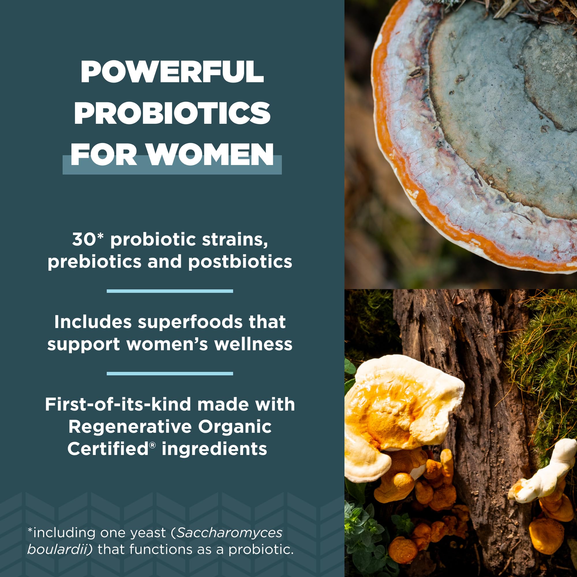 Ancient Nutrition Regenerative Organic Certified Probiotics for Women, Probiotics Women’s Once Daily, for Healthy Digestion and Immune System Function Support, 25 Billion CFUs* Per Serving, 30 Count - Image 4