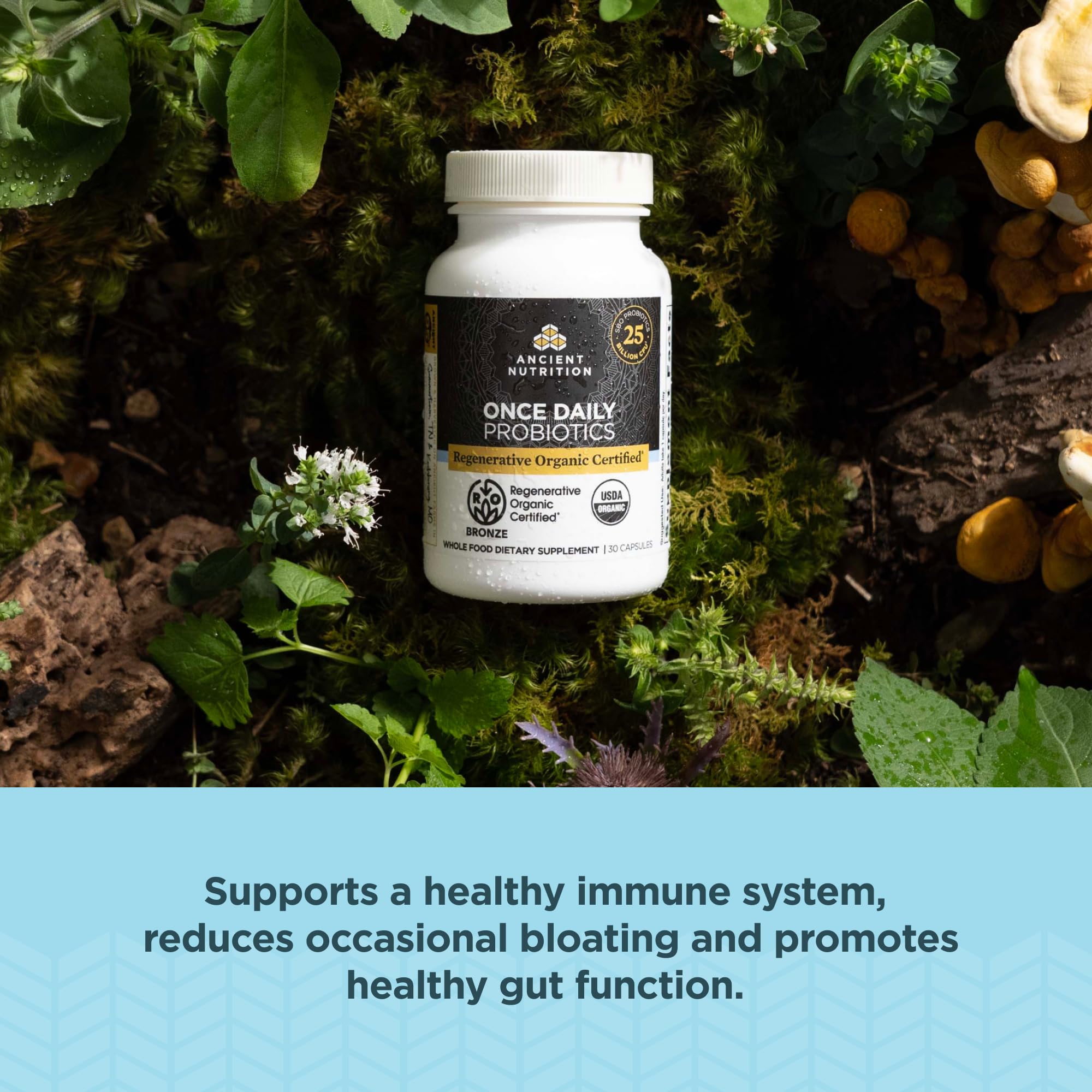 Ancient Nutrition Regenerative Organic Certified Probiotics, Daily Probiotics Once Daily, Healthy Digestion and Immune System Function Support, 25 Billion CFUs* Per Serving, 30 Count - Image 4