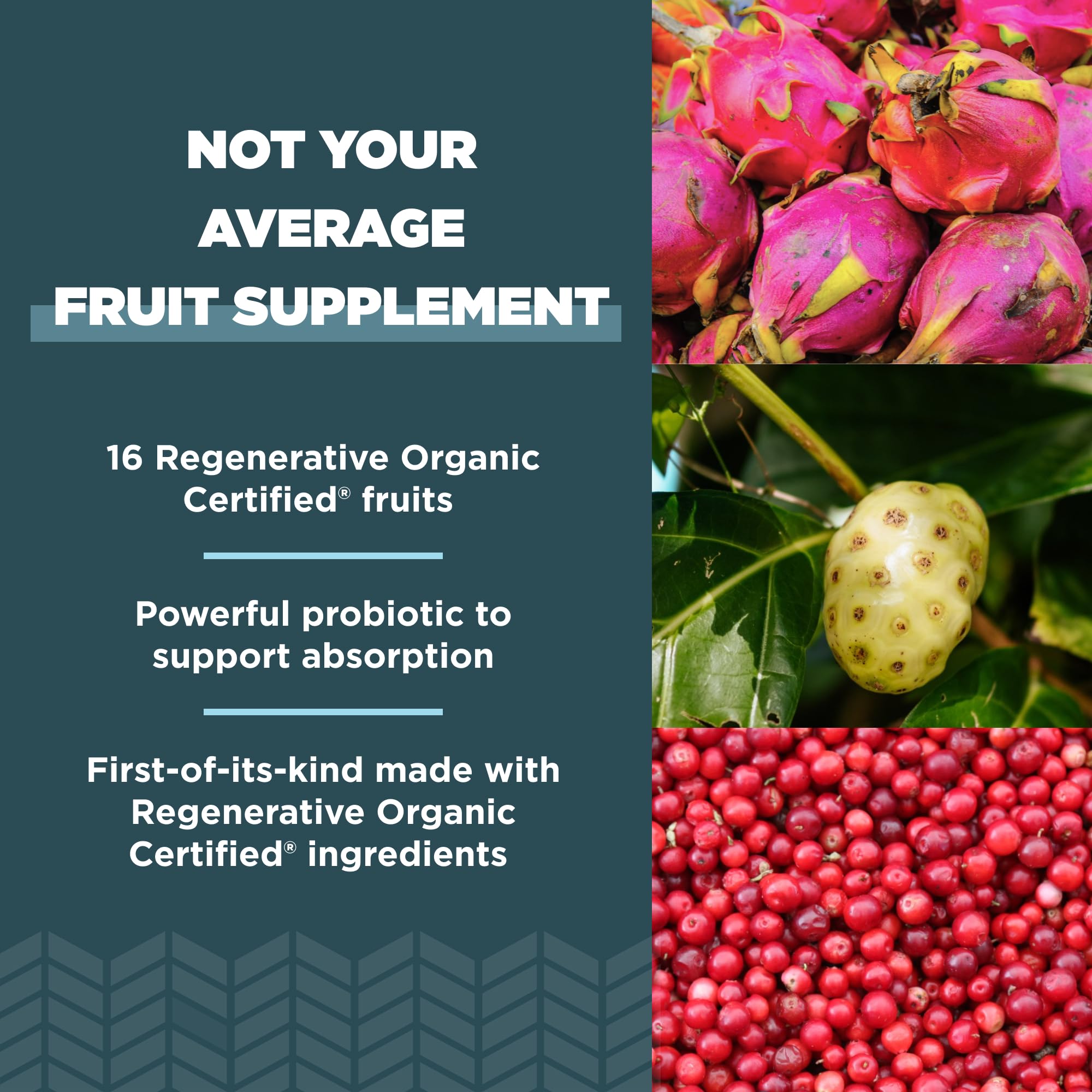 Ancient Nutrition Regenerative Organic Certified SuperFruits Capsules, Supports Gut and Immune System Health, Made with Probiotics, Dragonfruit, Mulberry, and Goji, 60 Count - Image 4